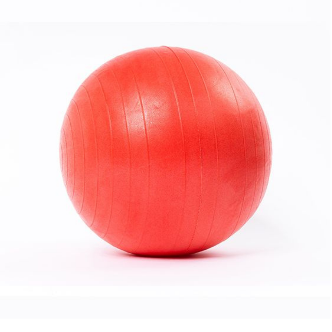 Premium Exercise Ball